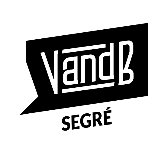 LOGO — V AND B SEGRÉ